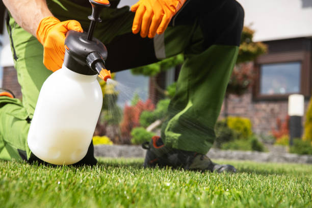 Best Mosquito Control Services  in York, SC
