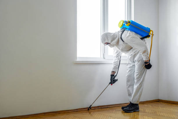 Best Wildlife Control Services  in York, SC