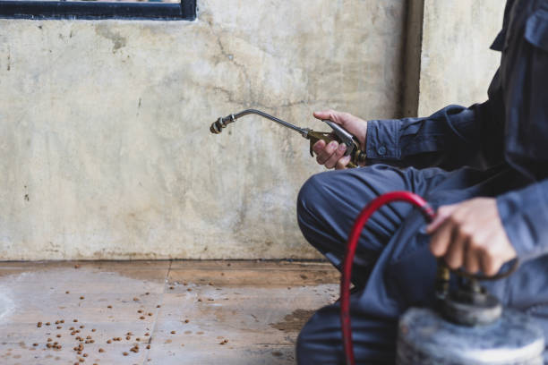 Best Pest Control Near Me  in York, SC